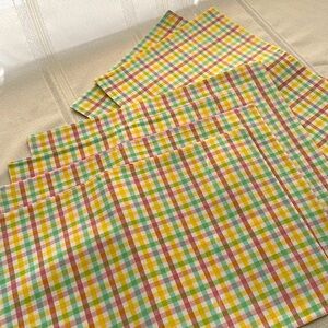 Colorful Plaid Table Mats reversible set of 6 from Pier1